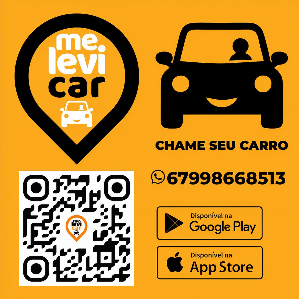 Arte Me Levi Car
